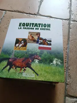 classeur avec fiches + magazines