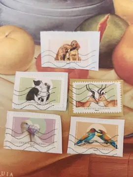 Timbres Tendres animaux 🐱 🐕