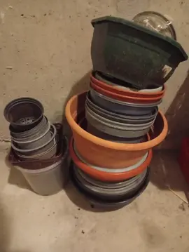 Pots de fleurs