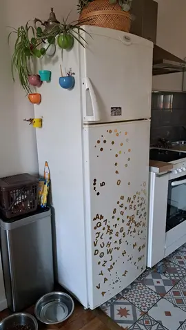 grand frigo congelateur