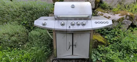Donne barbecue à Gaz