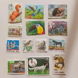 Lot 3 timbres thème animaux