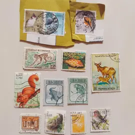 Lot 5 timbres animaux