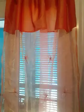 4 voilages organza orange