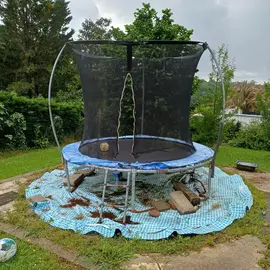 trampoline