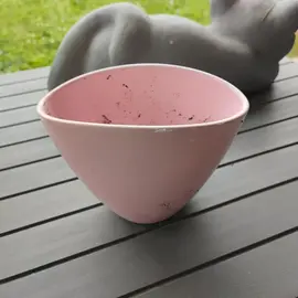 pot rose