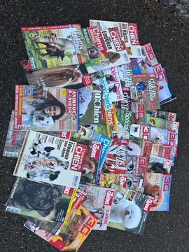 lot magazines chiens