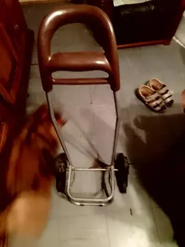 donne chariot pour les courses sans habillages