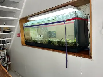 aquarium 400 litres cassé