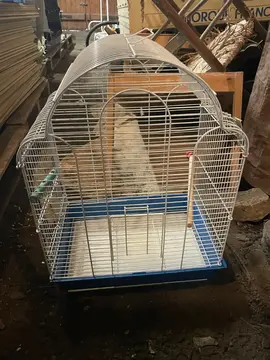 cage à oiseau