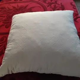 coussin 2