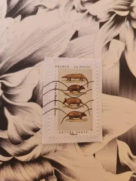 Timbre Tatous