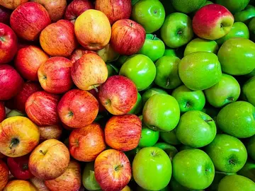 donne pommes a la saison diverses variete pour faire eau de vie