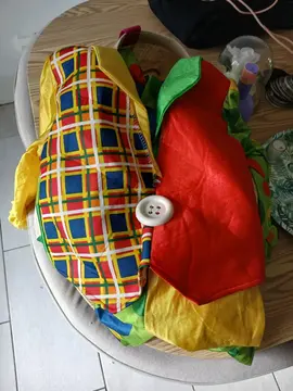 déguisement enfant