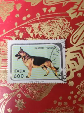 Timbre Italie berger allemand