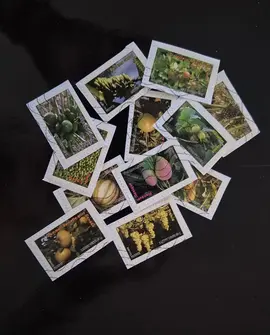 Timbres - 2012(lot4)