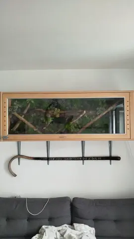 terrarium