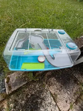 caisse pour hamster