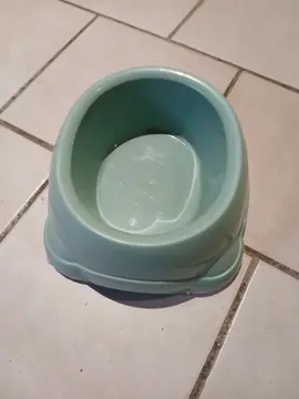 gamelle pour cat et petit chien