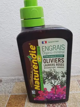 Engrais pour olivier