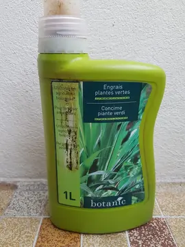 Engrais plantes vertes