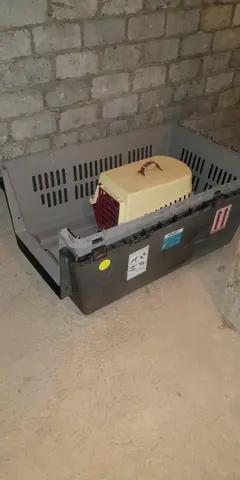 cage de transport pour chien