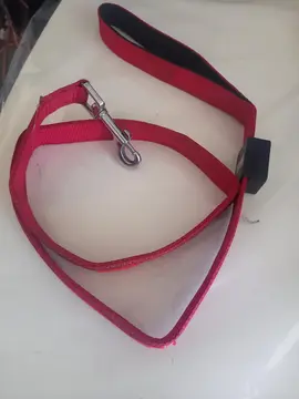 laisse chien rouge