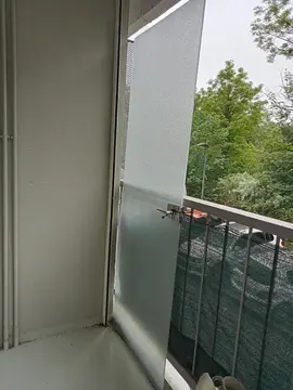 Porte en verre opaque épais avec ses gonds