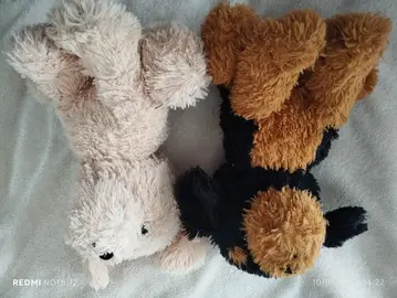 lot de deux peluches chiens (a)