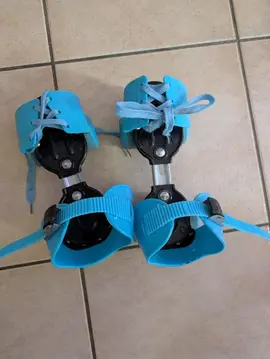 Patins à roulettes