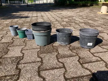 pot pour semis et plants