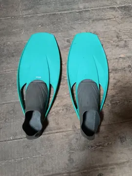 Palme