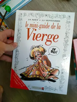 bande dessinée le mini guide de la Vierge