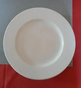assiettes en porcelaine 26 cm de diametre