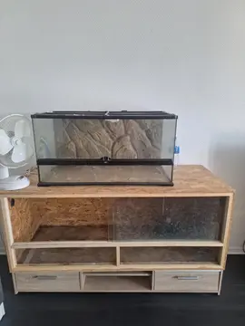 terrarium