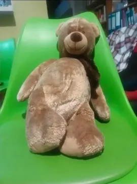 ours en peluche