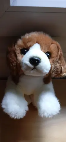 peluche chien