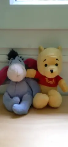 Winnie et son copain