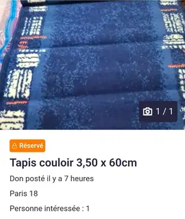 Tapis couloir 3.60 x 60
