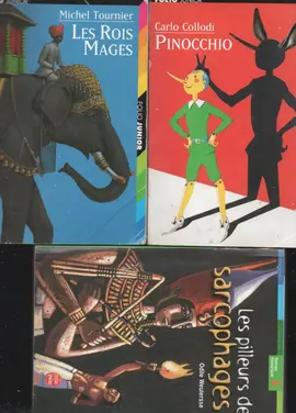 Donne 3 livres de poche