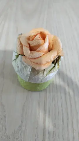 boîtes carton