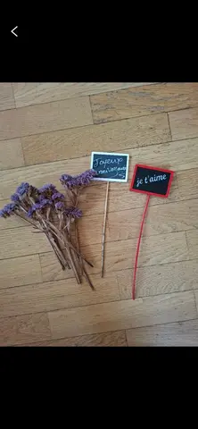 fleurs séchées et 2 " plaques"