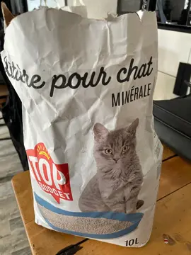litière pour chat