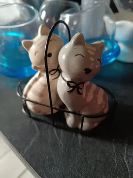 salière et poivrière chat