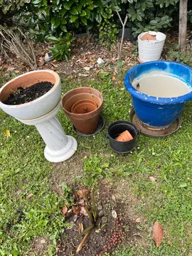 divers pots de fleurs à donner
