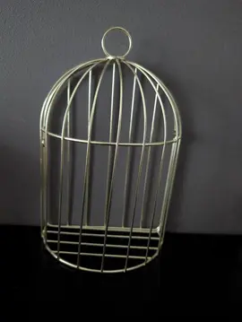 décoration cage