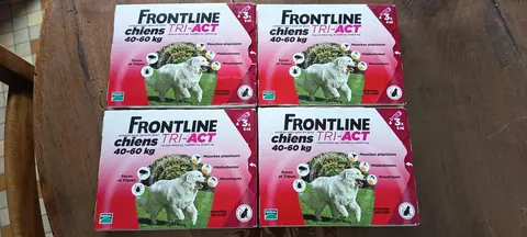 Lot 12 pipettes Frontline