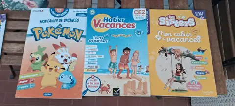 3 cahiers de vacances CE2/CM1 déjà faits au crayon