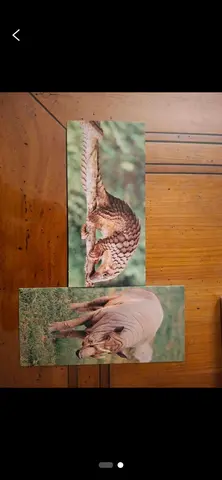 2 images chocolat Merveilles du Monde