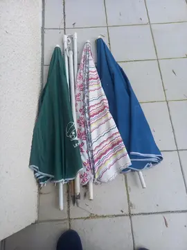 parasol
